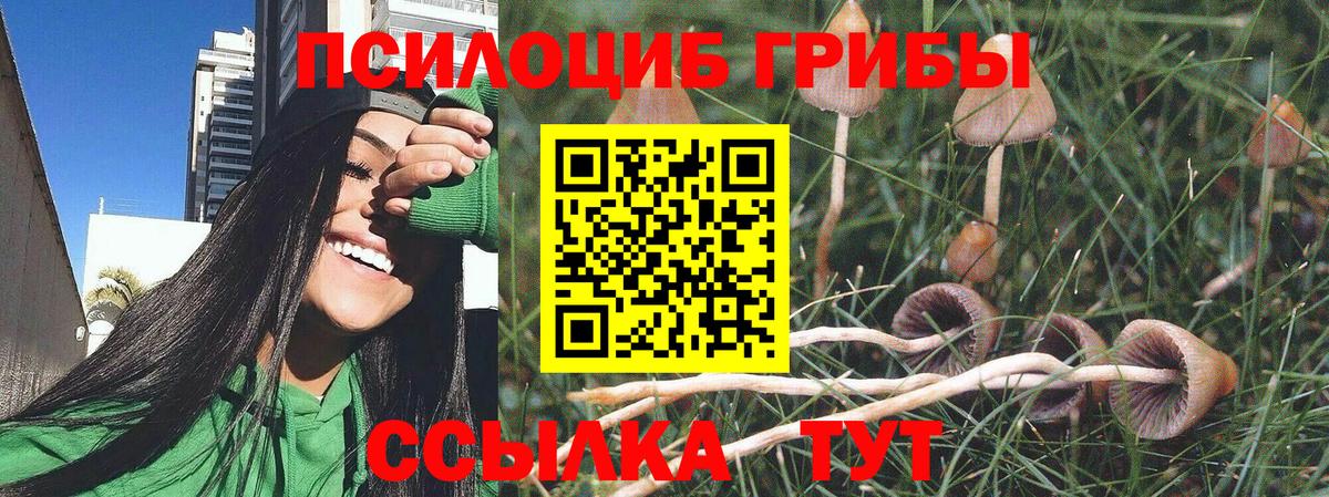 Псилоцибиновые грибы MAGIC MUSHROOMS Югорск